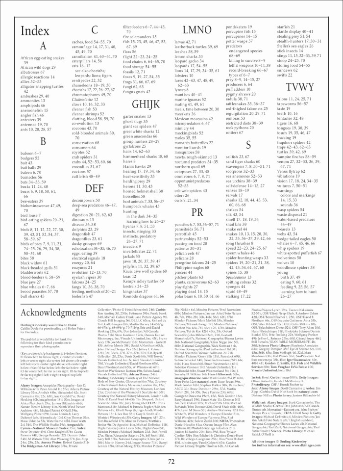 image for page Sách loài động vật ăn thịt