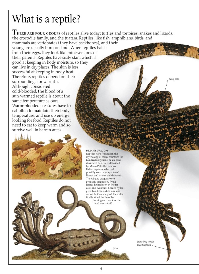 image for page Sách về loài bò sát