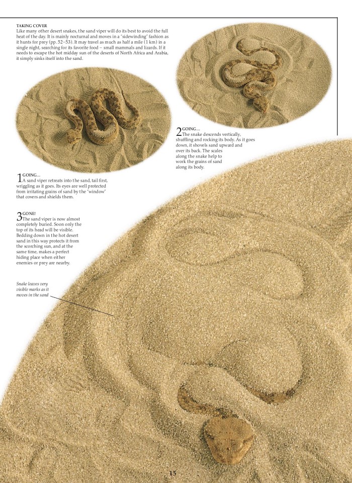 image for page Sách về loài bò sát