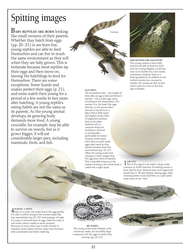 image for page Sách về loài bò sát