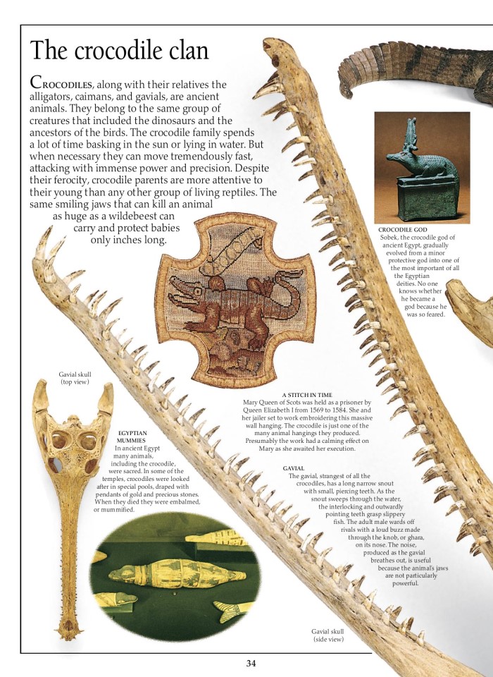 image for page Sách về loài bò sát