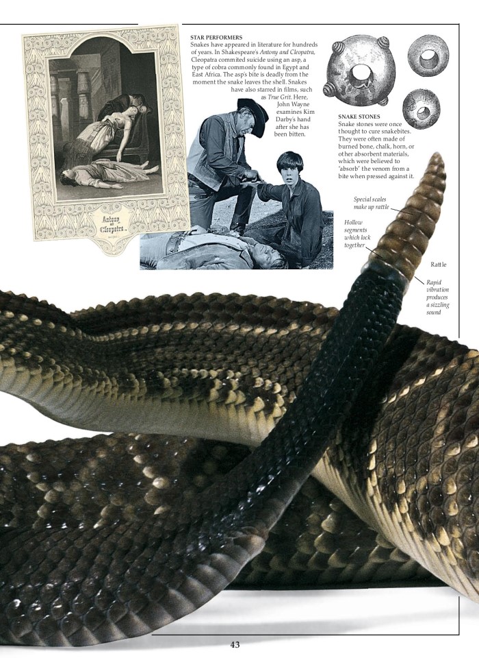 image for page Sách về loài bò sát