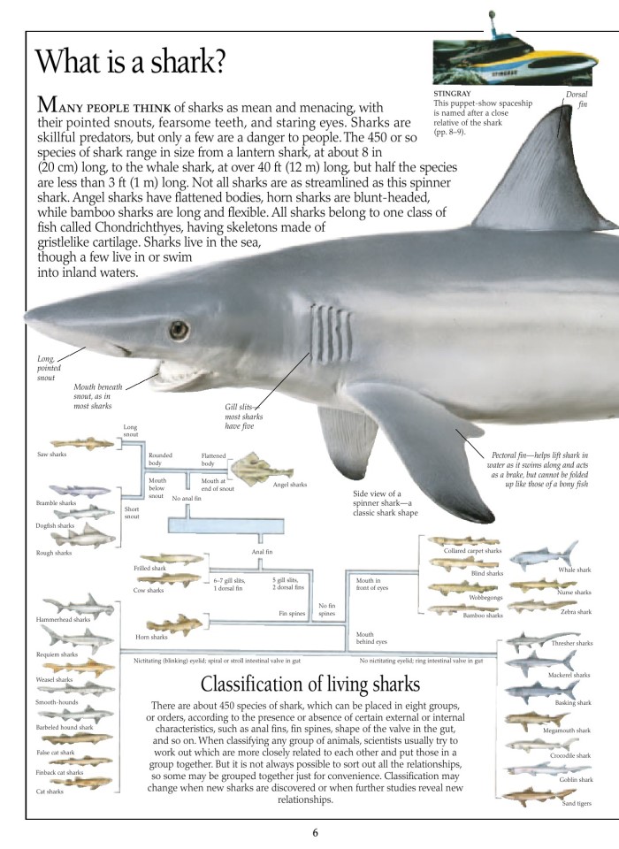 image for page Sách về cá mập