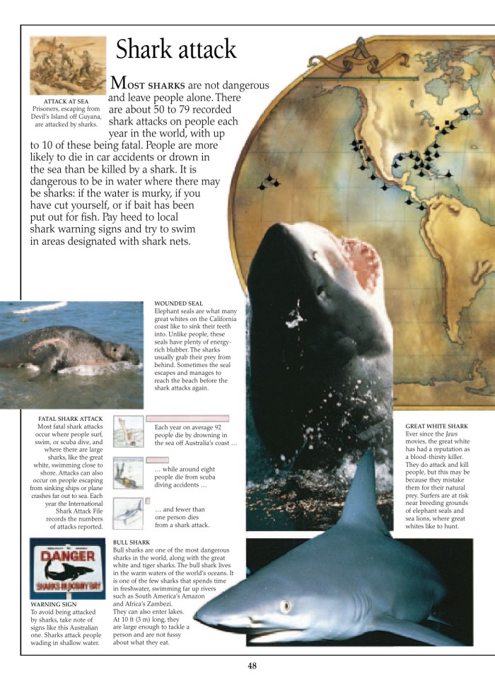 image for page Sách về cá mập