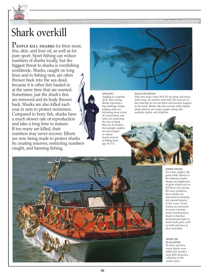 image for page Sách về cá mập