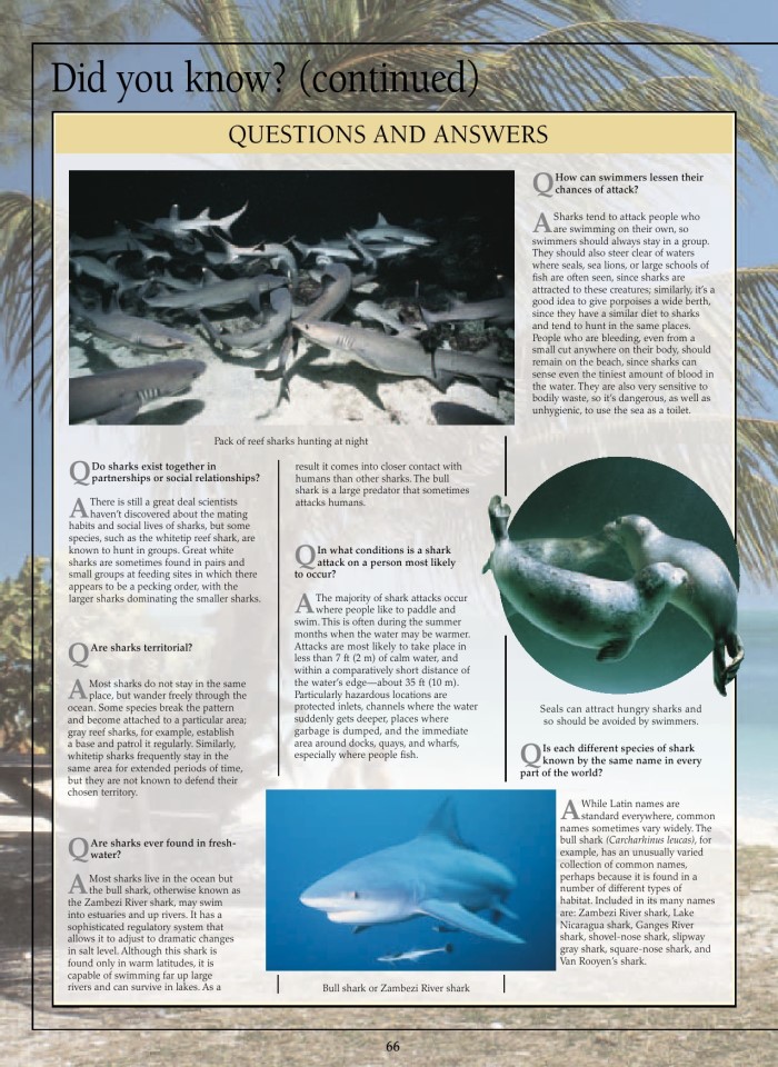 image for page Sách về cá mập