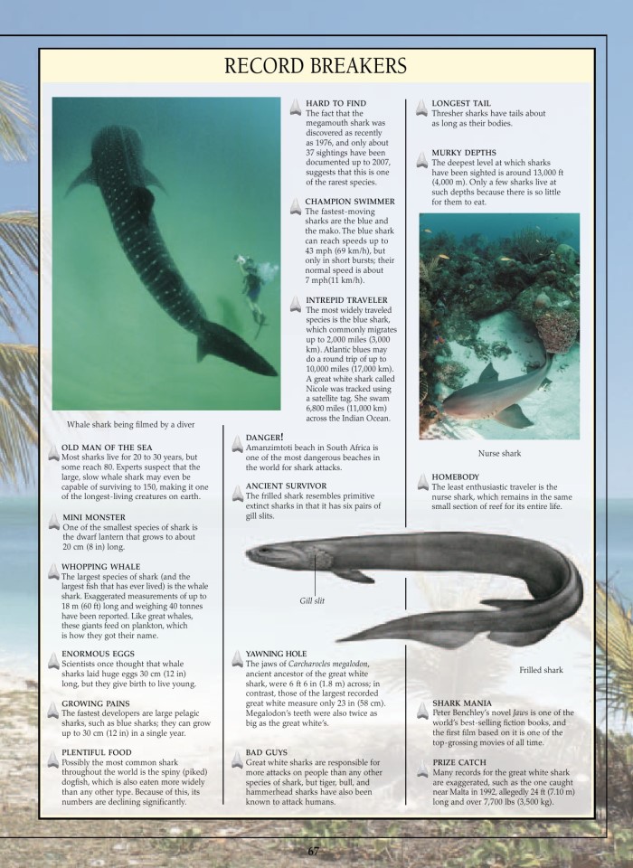 image for page Sách về cá mập