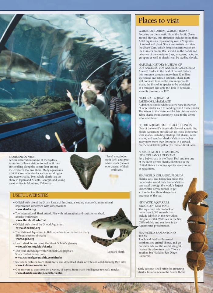 image for page Sách về cá mập