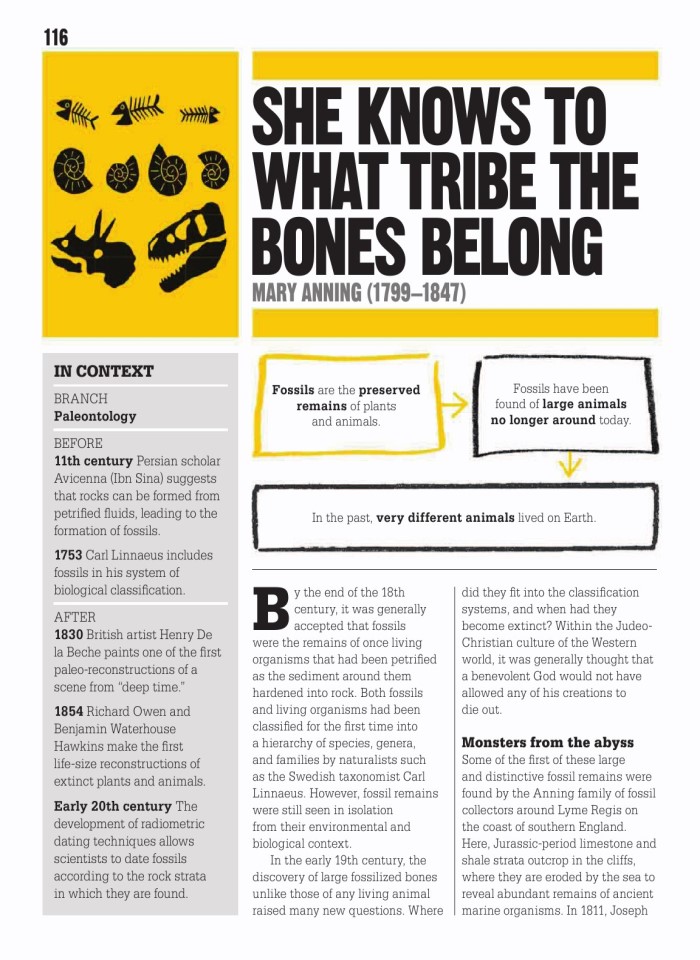 image for page The science book