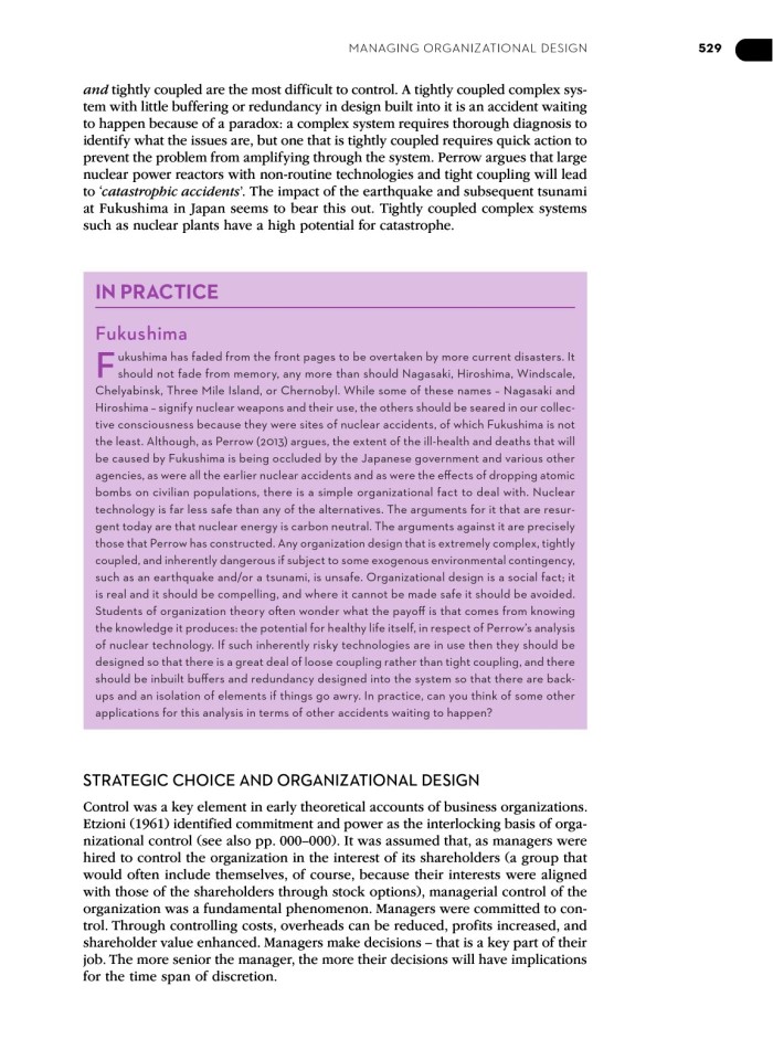 image for page Managing and organization an introduction to theory and practice