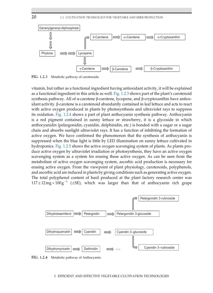 image for page Plant factory using artificial light