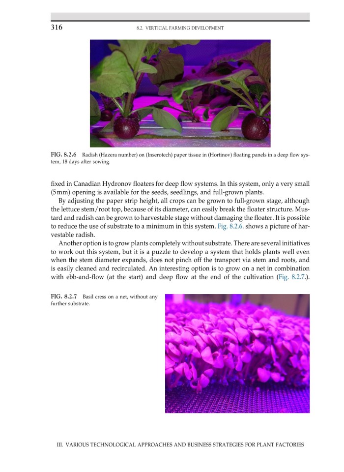 image for page Plant factory using artificial light