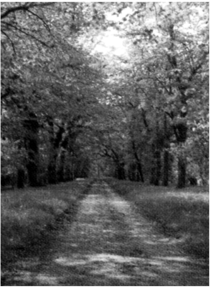 image for page Bí mật của may mắn