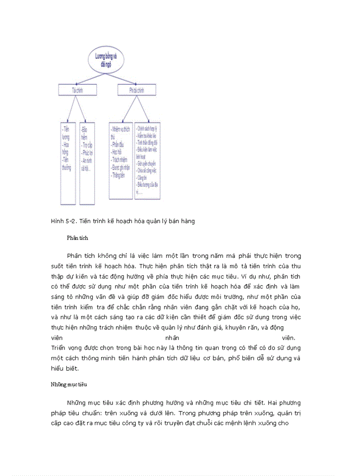 image for page Các công cụ phân tích  và lập kế hoạch của giám đốc bán hàng