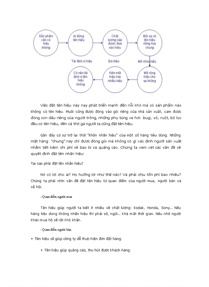 image for page Chiến lược sản phẩm và dịch vụ