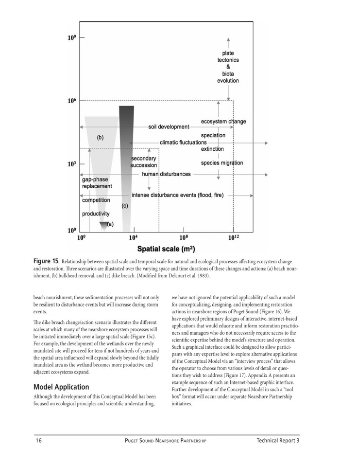 image for page Conceptual Model for Assessing Restoration of Puget Sound Nearshore Ecosystems