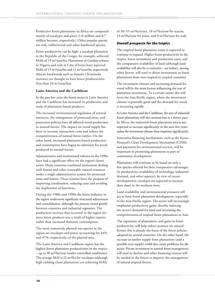 image for page Encouraging industrial forest plantations in the tropics