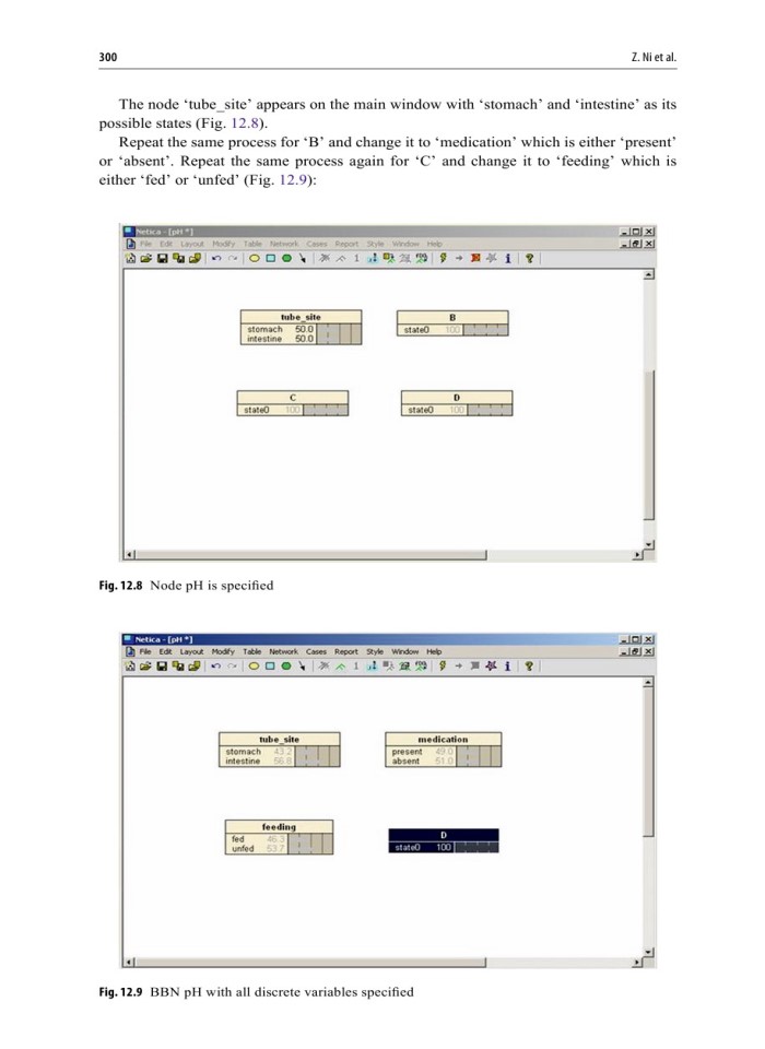 image for page Exploring Bayesian Belief Networks Using Netica