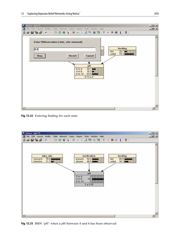 image for page Exploring Bayesian Belief Networks Using Netica