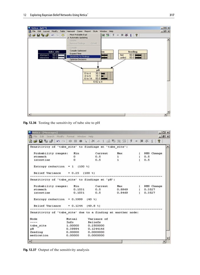 image for page Exploring Bayesian Belief Networks Using Netica
