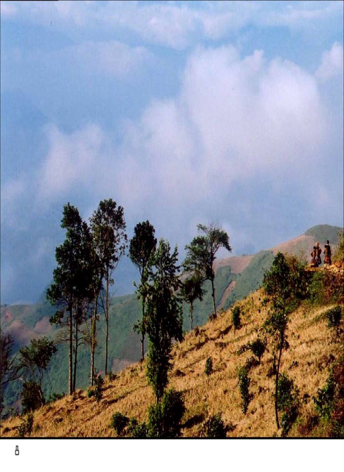 image for page Suối Giàng