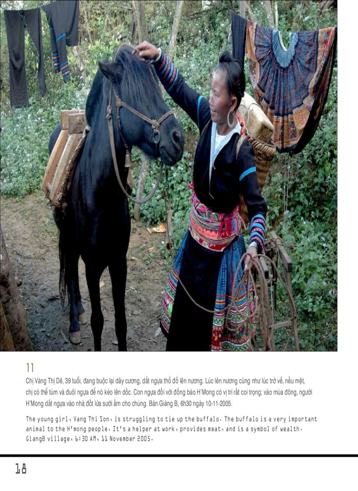 image for page Suối Giàng