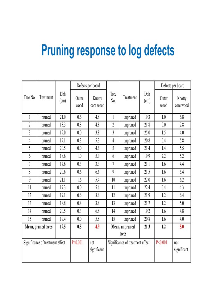 image for page Sustainable and profitable development of acacia plantations for sawlog production in Vietnam