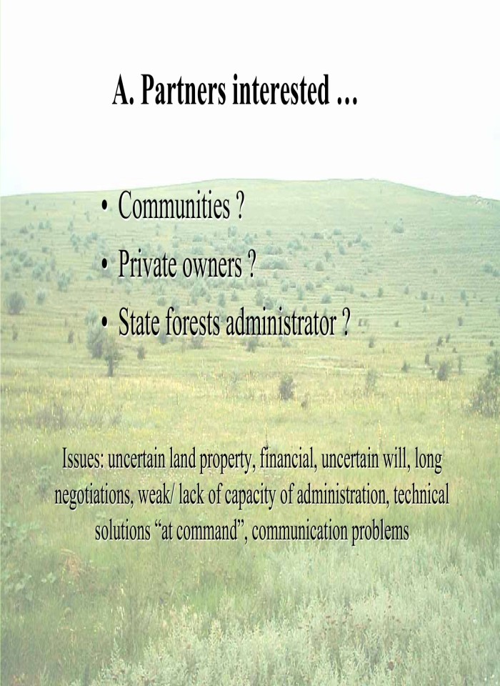 image for page Environmental and financial synergies on afforestation of degraded lands