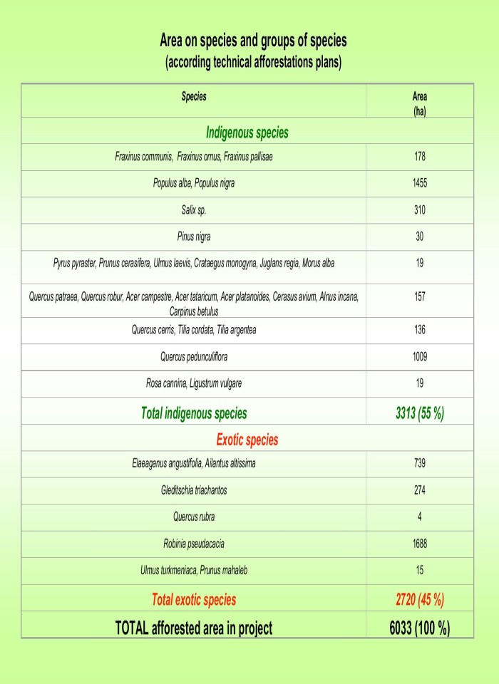 image for page Environmental and financial synergies on afforestation of degraded lands
