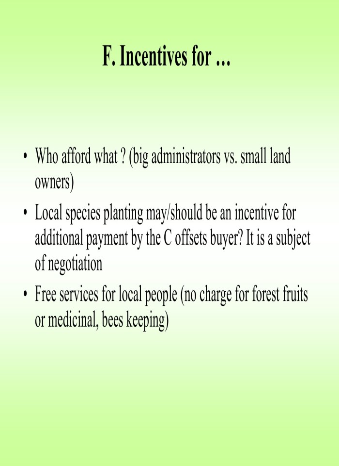 image for page Environmental and financial synergies on afforestation of degraded lands