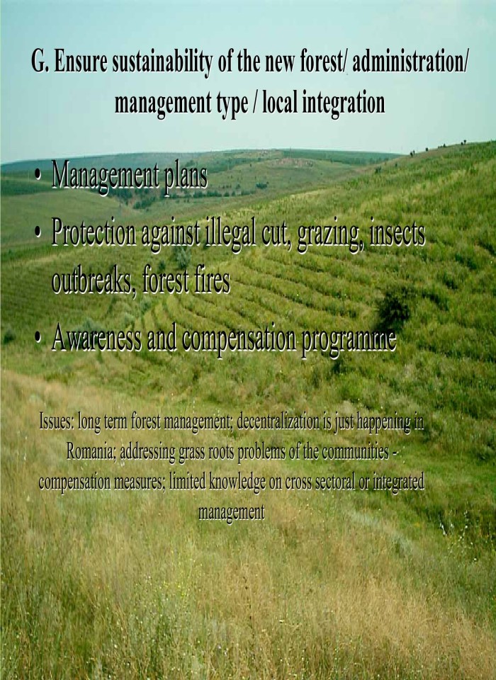 image for page Environmental and financial synergies on afforestation of degraded lands