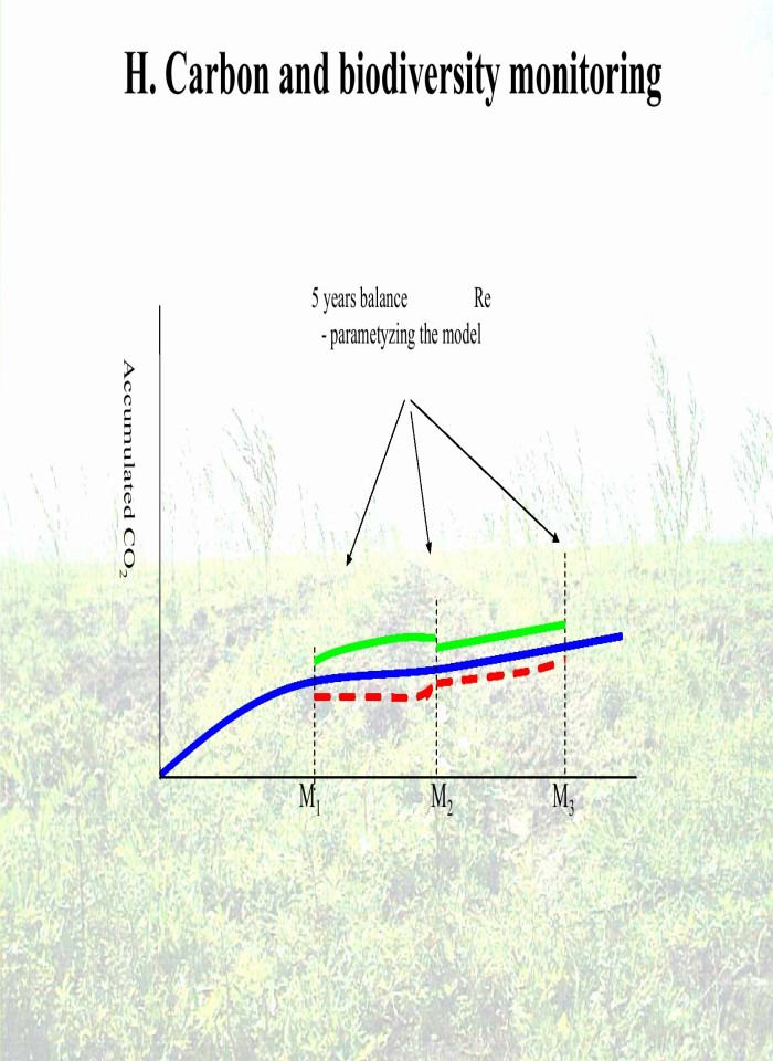 image for page Environmental and financial synergies on afforestation of degraded lands