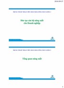 Đào tạo cán bộ năng suất cho Doanh nghiệp