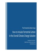 Afforestation carbonfix ashtont