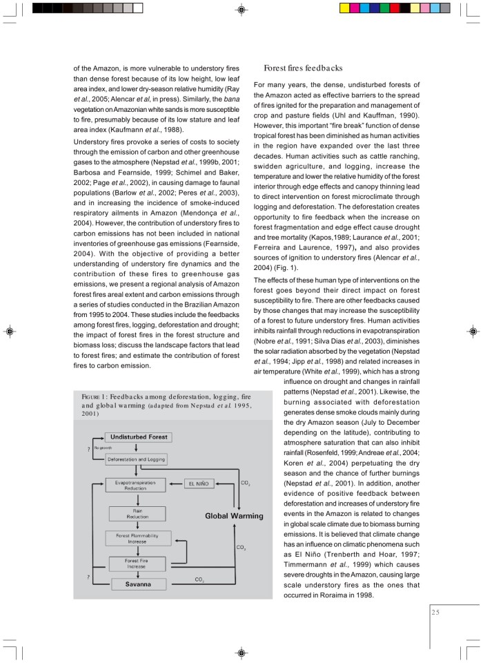image for page Tropical deforestation and climate change