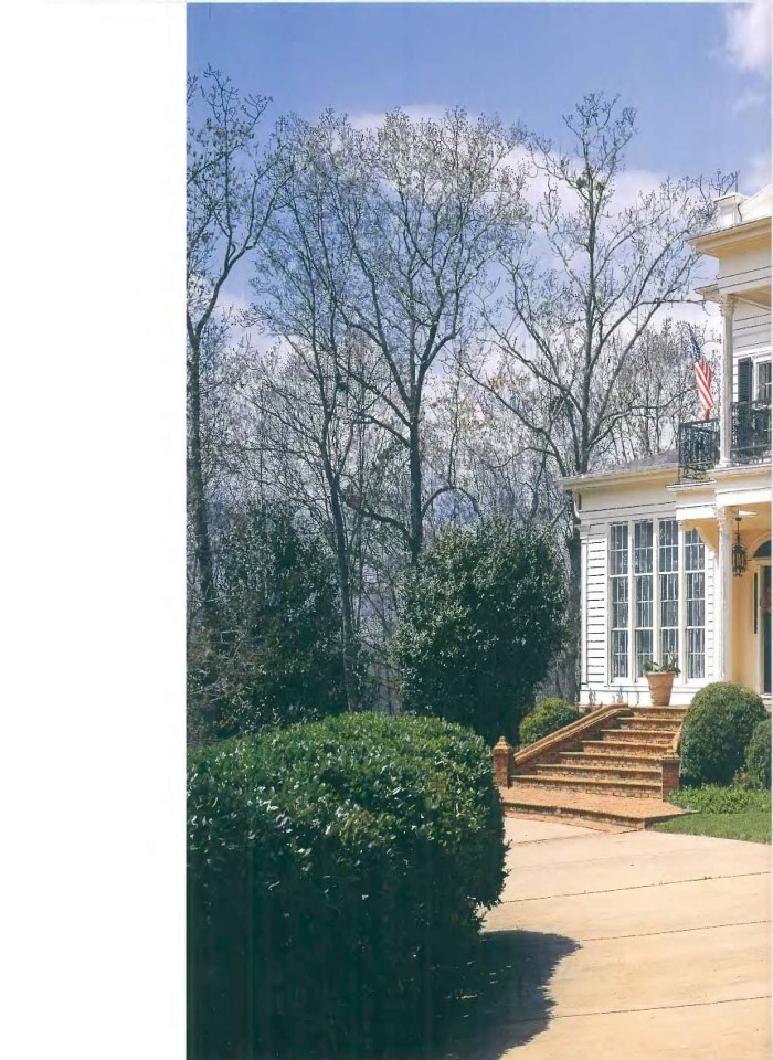 image for page New classicists