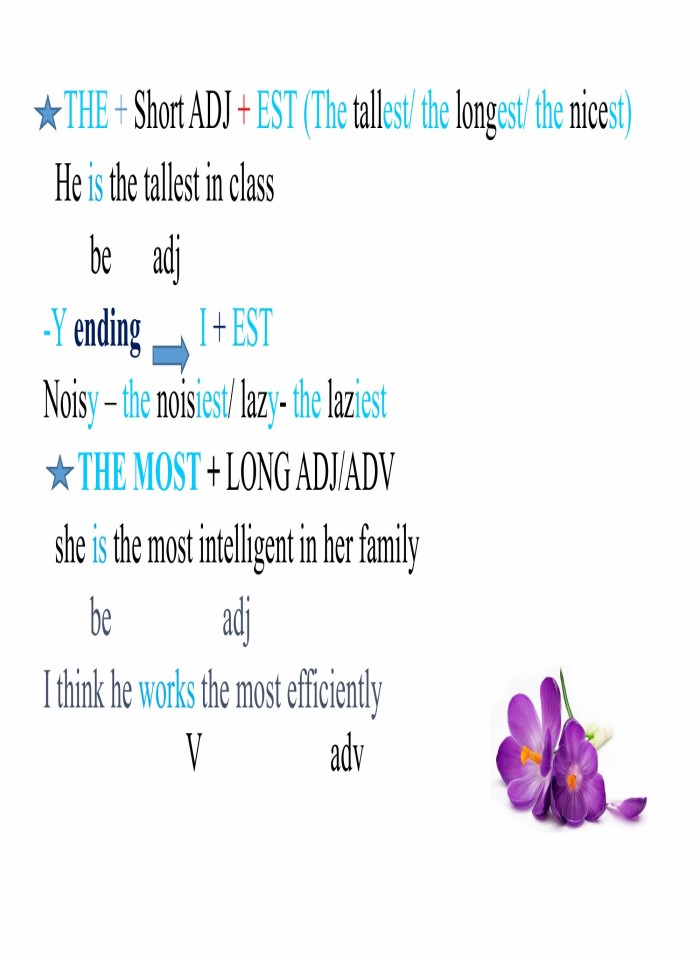 image for page Comparisons