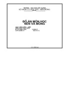 Đồ án Nền & Móng- Phần móng nông