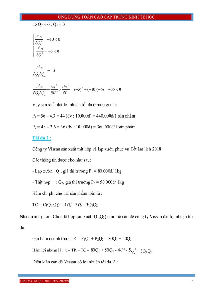 image for page Ứng dụng đạo hàm của hàm một biến hay nhiều biến trong bài toán kinh tế