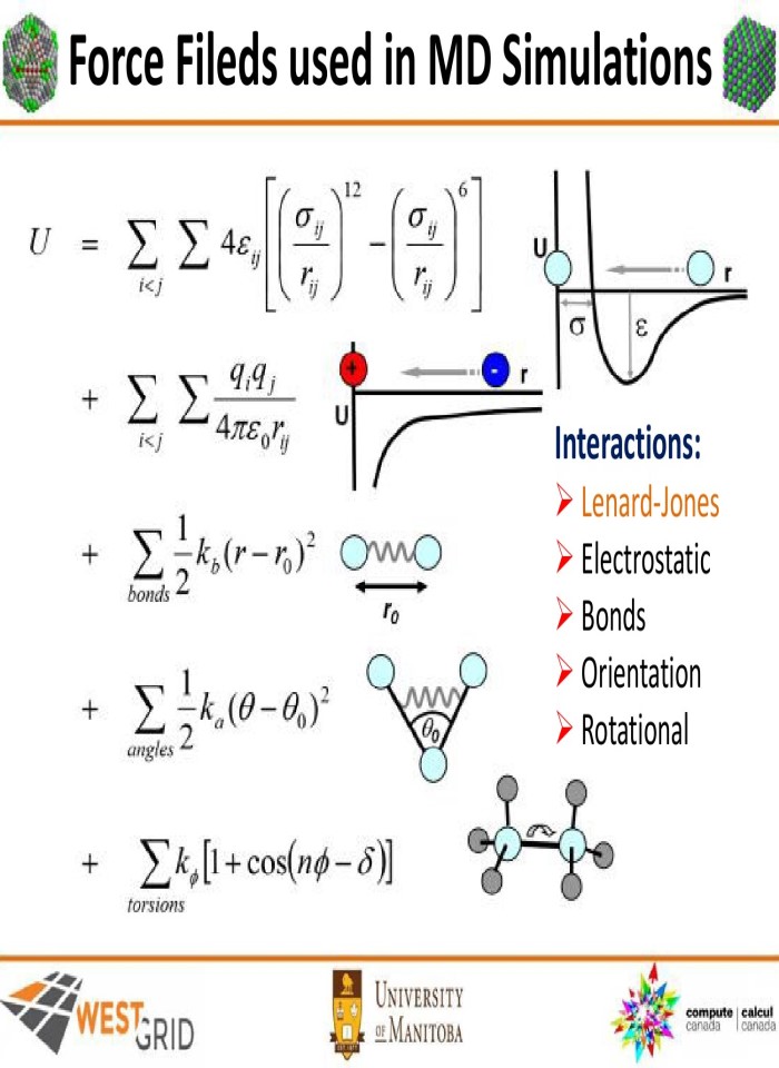 Introduction to classical molecular dynamics simulations