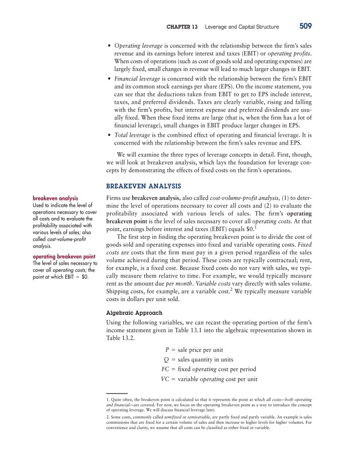 image for page 13 Leverage and capital structute