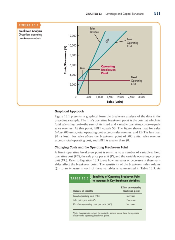 image for page 13 Leverage and capital structute