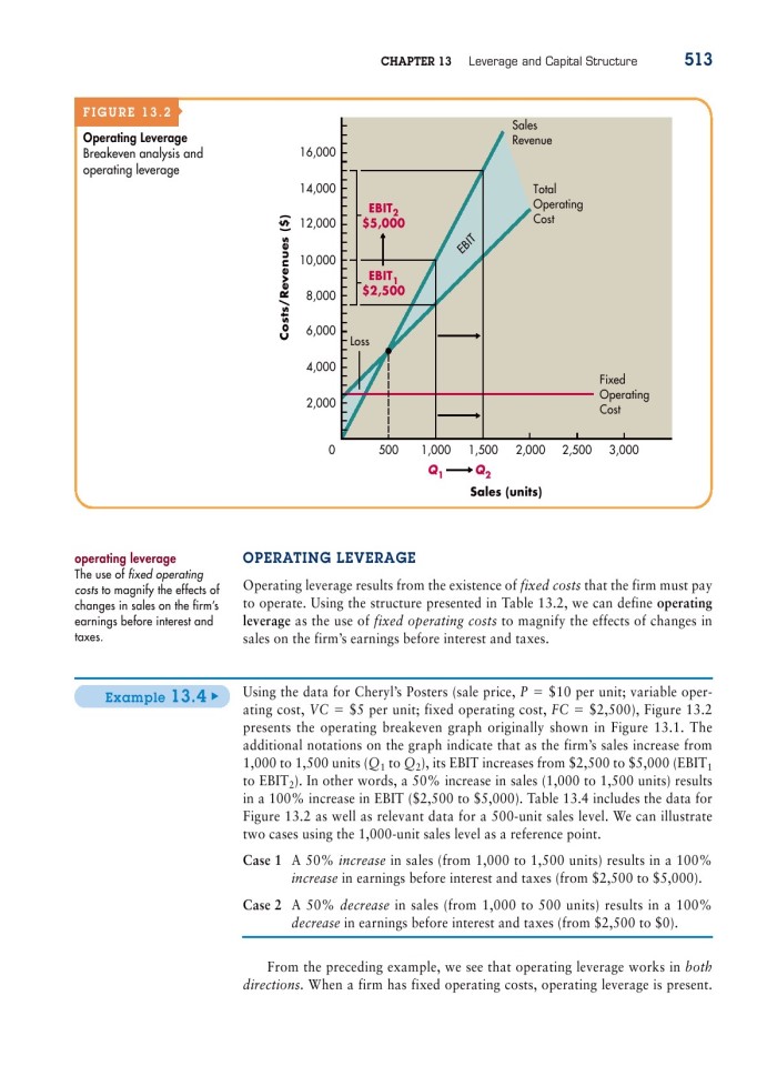 image for page 13 Leverage and capital structute
