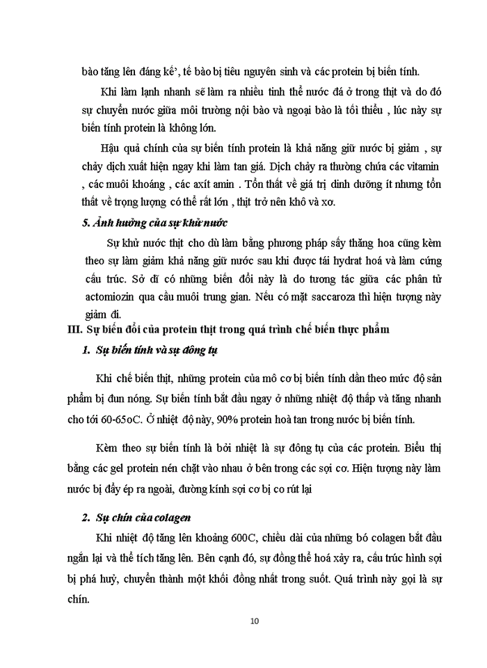 image for page Sự biến đổi của protein thịt trong quá trình chế biến và bảo quản