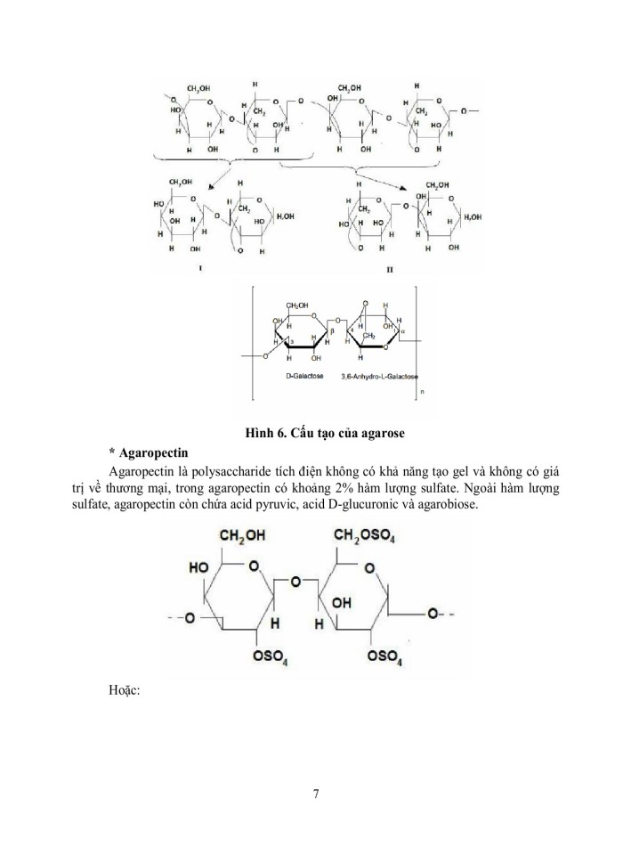 image for page Agar-agar nguồn gốc, cấu trúc tính chất lưu biến và ứng dụng