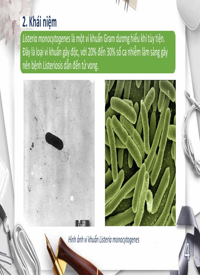 image for page Vi khuẩn listeria monocytogenes