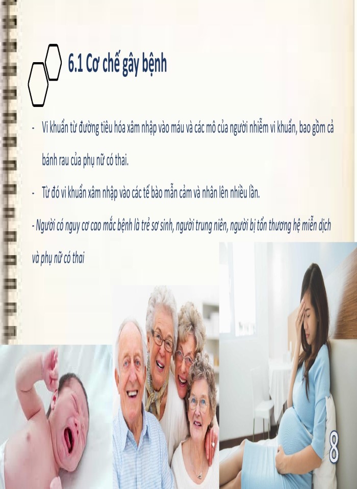 image for page Vi khuẩn listeria monocytogenes