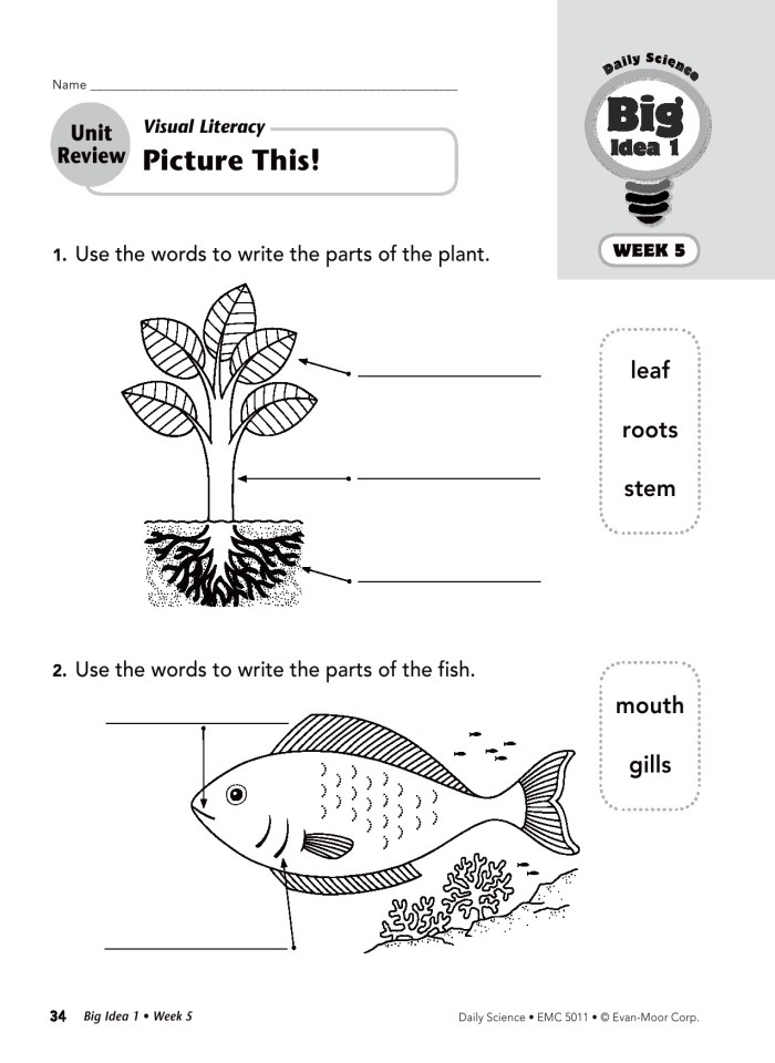 image for page Daily Science G1