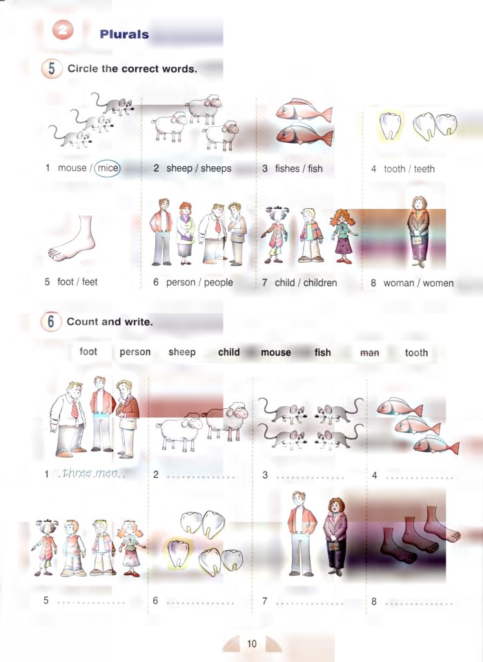 image for page New round-up 1