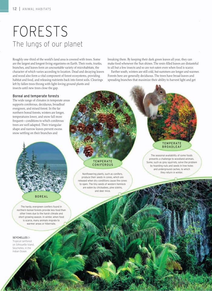 image for page wildlife of the world